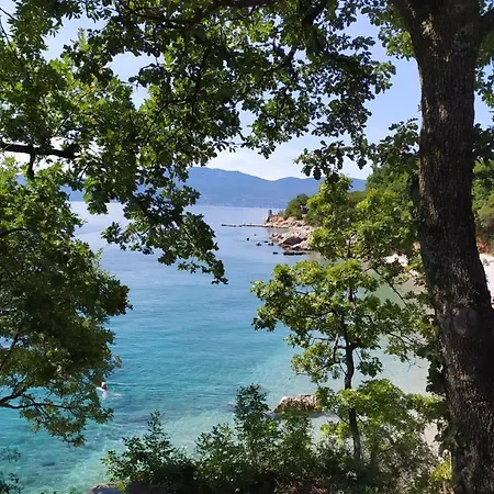 Apartment Dreamcatcher Close To Everything- Pet Friendly Nearby *