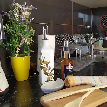 Apartment Dreamcatcher Close To Everything- Pet Friendly Nearby