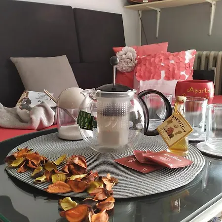 Apartment Dreamcatcher Close To Everything- Pet Friendly Nearby