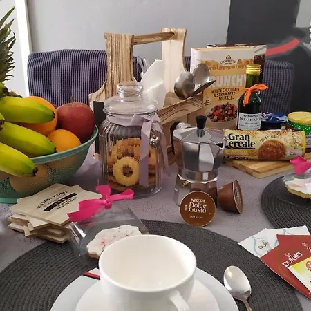 Dreamcatcher Close To Everything- Pet Friendly Nearby Apartament